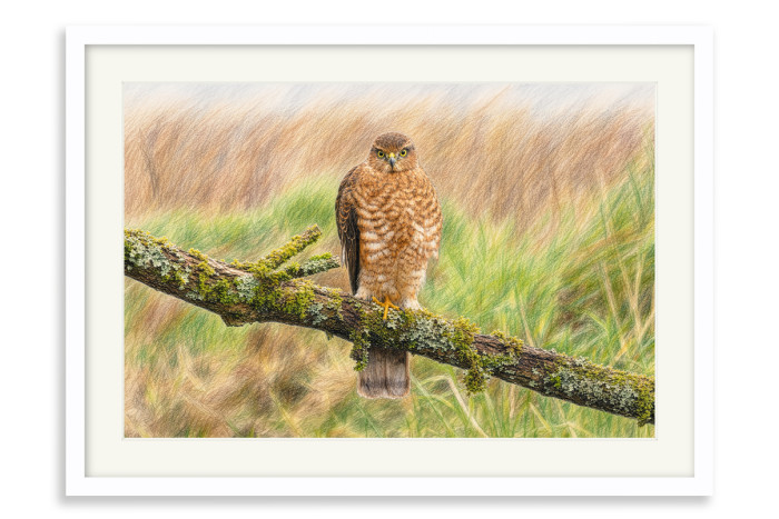 White Frame A5 - 14.8 x21 cm  (+£100.00)